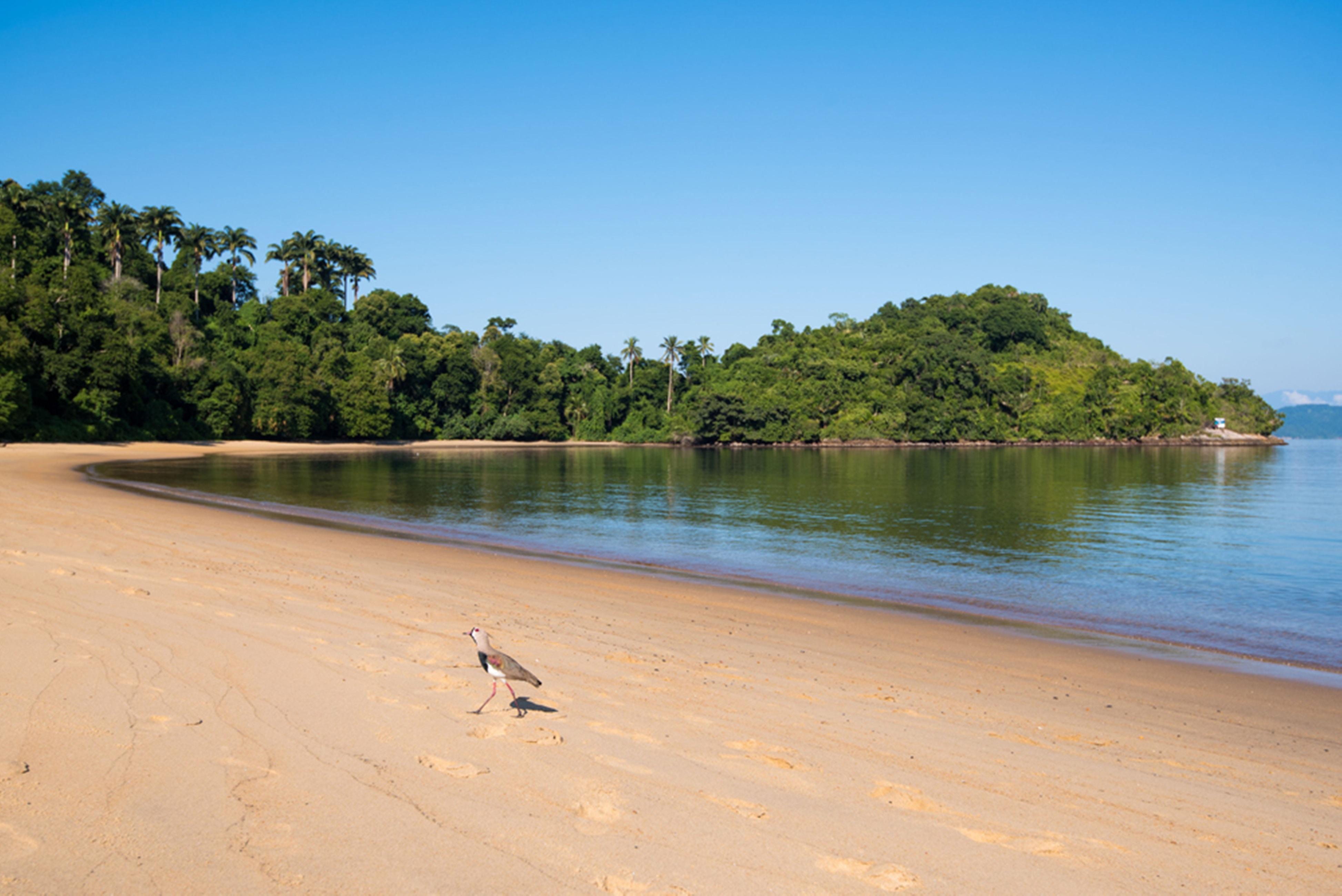 Vila Gale Eco Resort Angra Άνγκρα Ντος Ρέις Εξωτερικό φωτογραφία Beach at the park